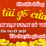 soi cầu dự đoán đặc biệt mn