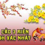 soi cầu dự đoán sớ đầu đuôi giải đặc biệt mt